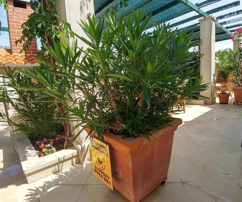 פובליה Apartments Gracija מראה חיצוני תמונה